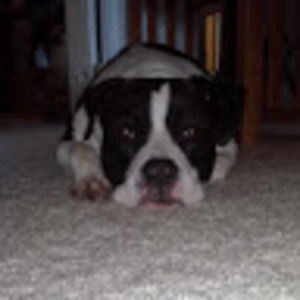 Meet your Posher, Haleigh